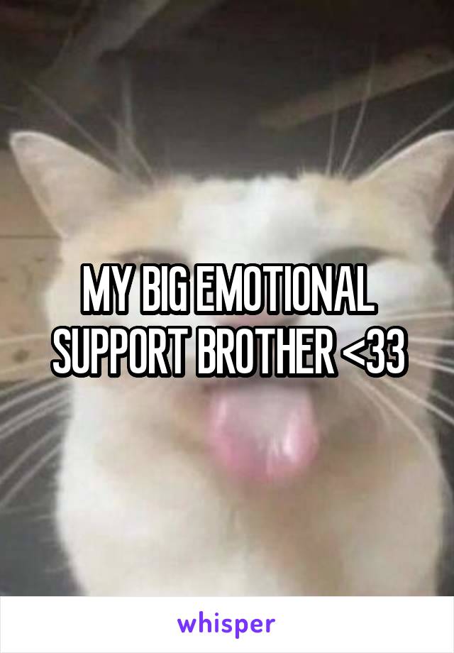 MY BIG EMOTIONAL SUPPORT BROTHER <33