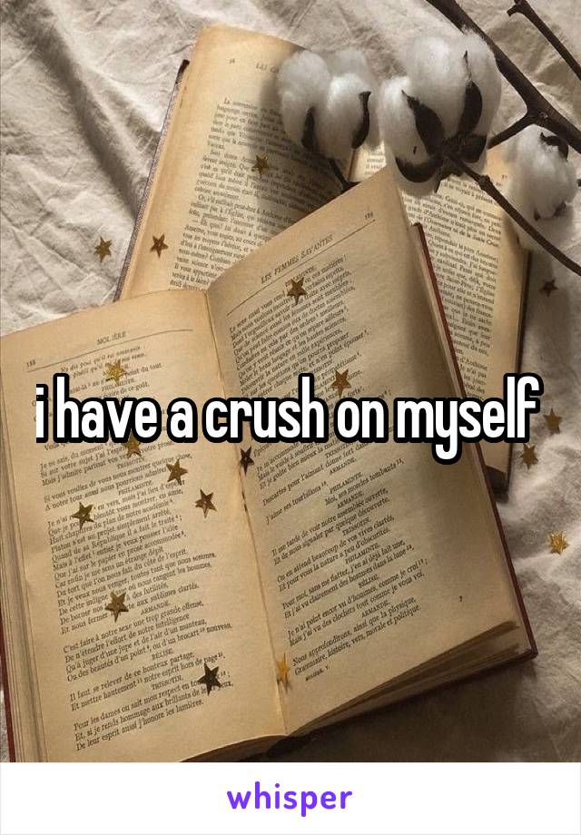 i have a crush on myself 