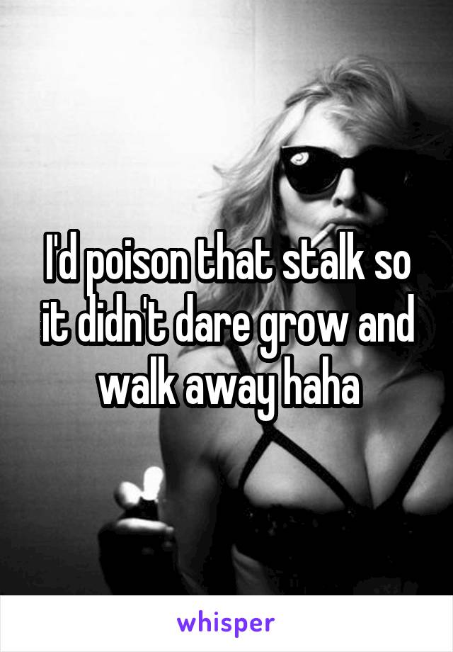 I'd poison that stalk so it didn't dare grow and walk away haha