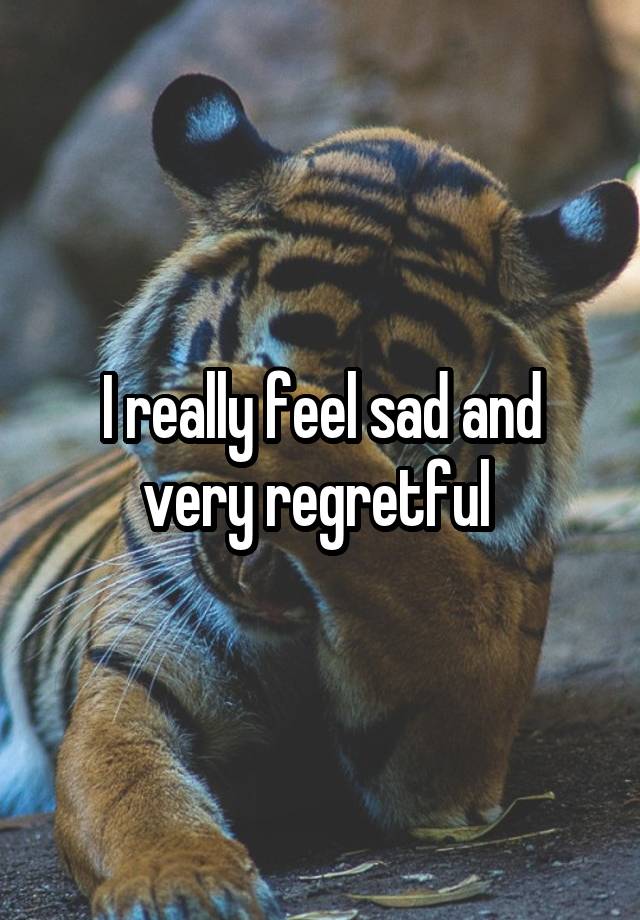 I really feel sad and very regretful 