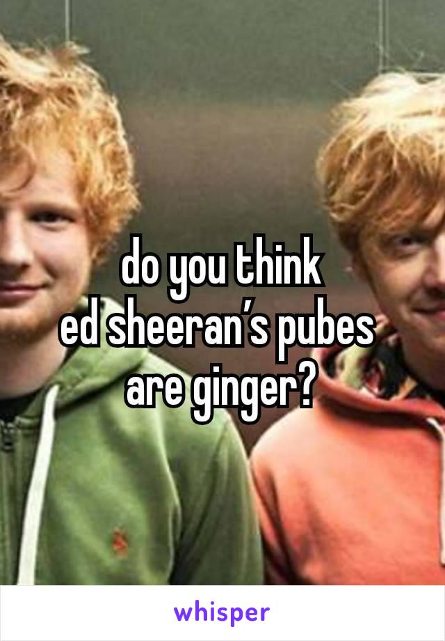 do you think
ed sheeran’s pubes 
are ginger?