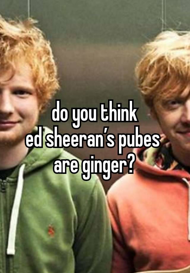 do you think
ed sheeran’s pubes 
are ginger?