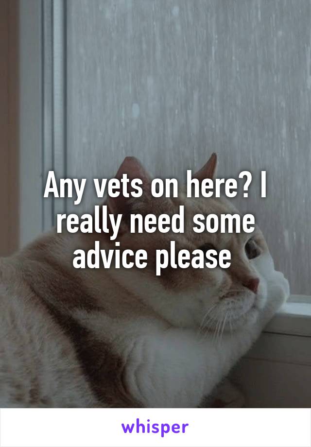 Any vets on here? I really need some advice please 