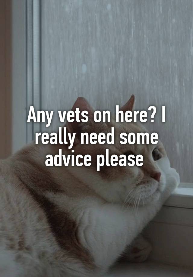 Any vets on here? I really need some advice please 