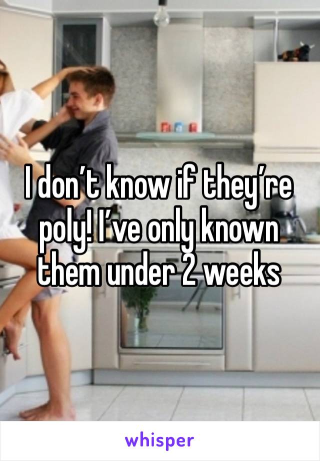 I don’t know if they’re poly! I’ve only known them under 2 weeks