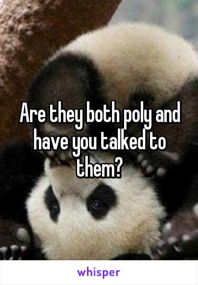 Are they both poly and have you talked to them?