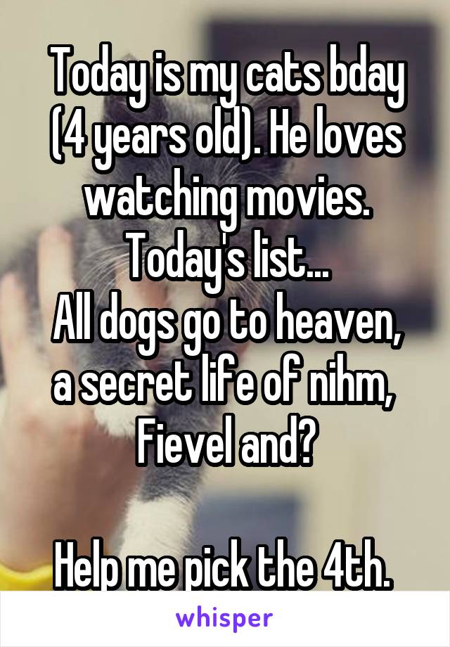 Today is my cats bday (4 years old). He loves watching movies. Today's list...
All dogs go to heaven, a secret life of nihm,  Fievel and?

Help me pick the 4th. 