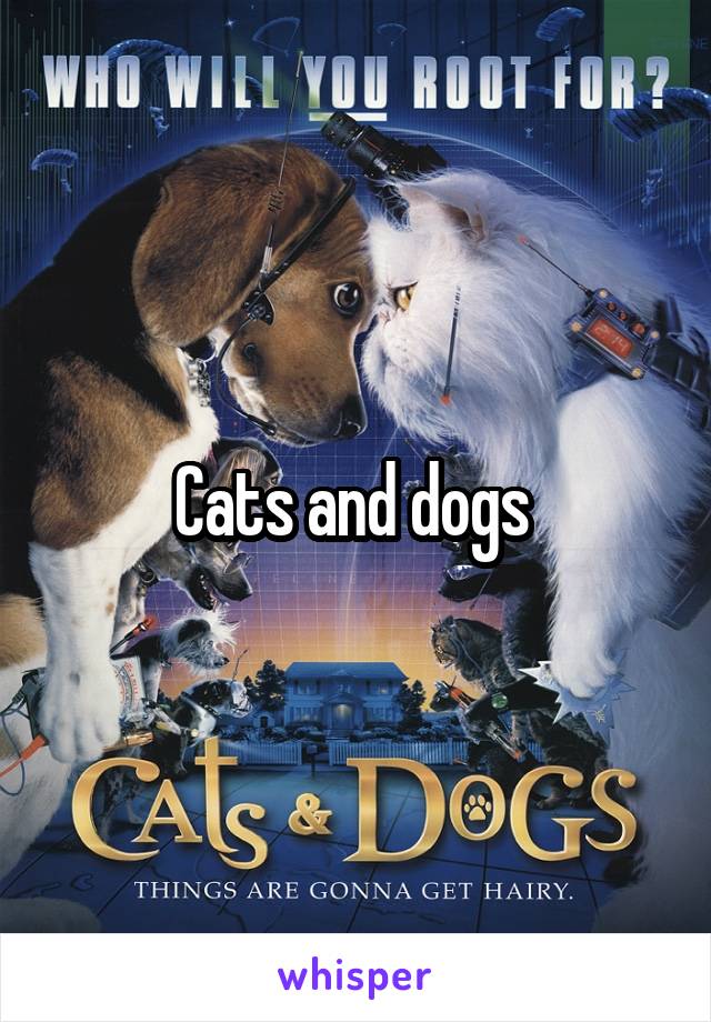 Cats and dogs 