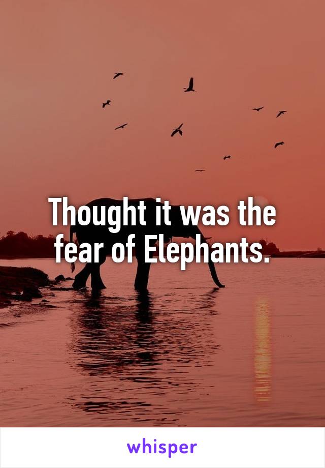 Thought it was the fear of Elephants.