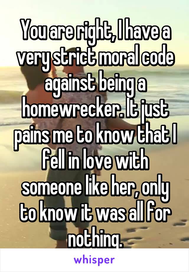 You are right, I have a very strict moral code against being a homewrecker. It just pains me to know that I fell in love with someone like her, only to know it was all for nothing.