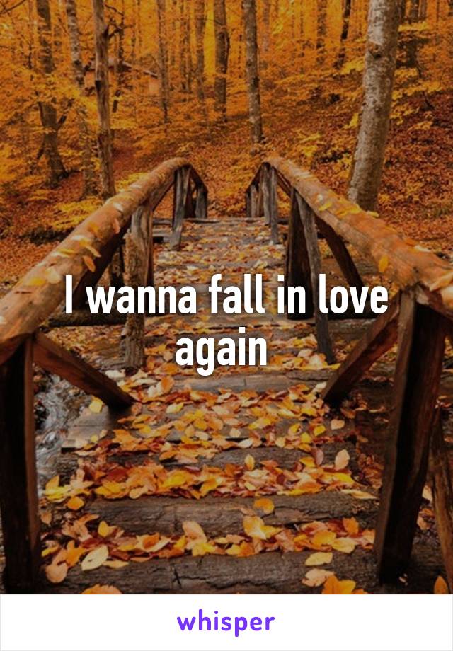 I wanna fall in love again 