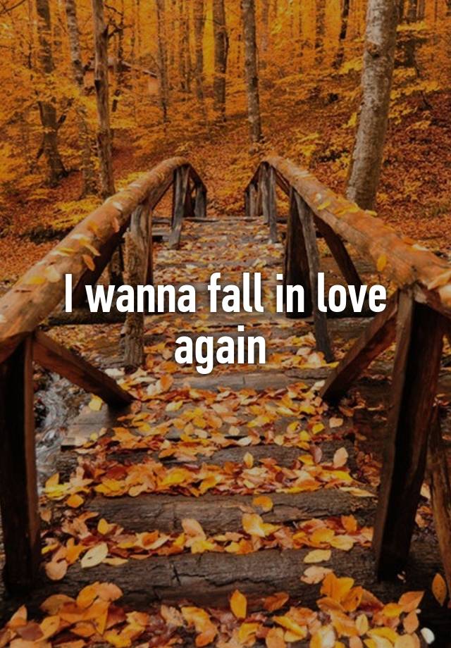 I wanna fall in love again 