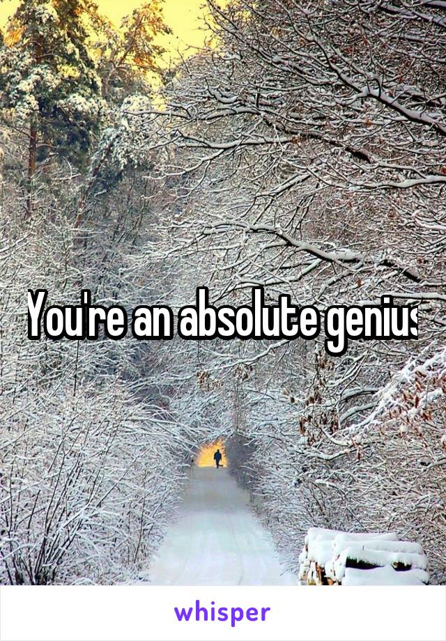 You're an absolute genius