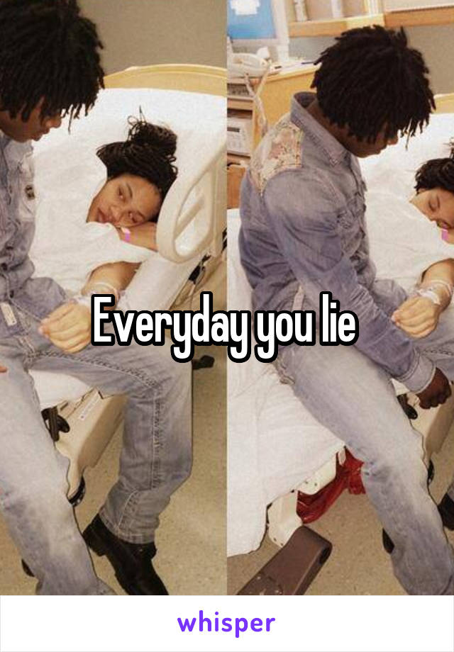 Everyday you lie 