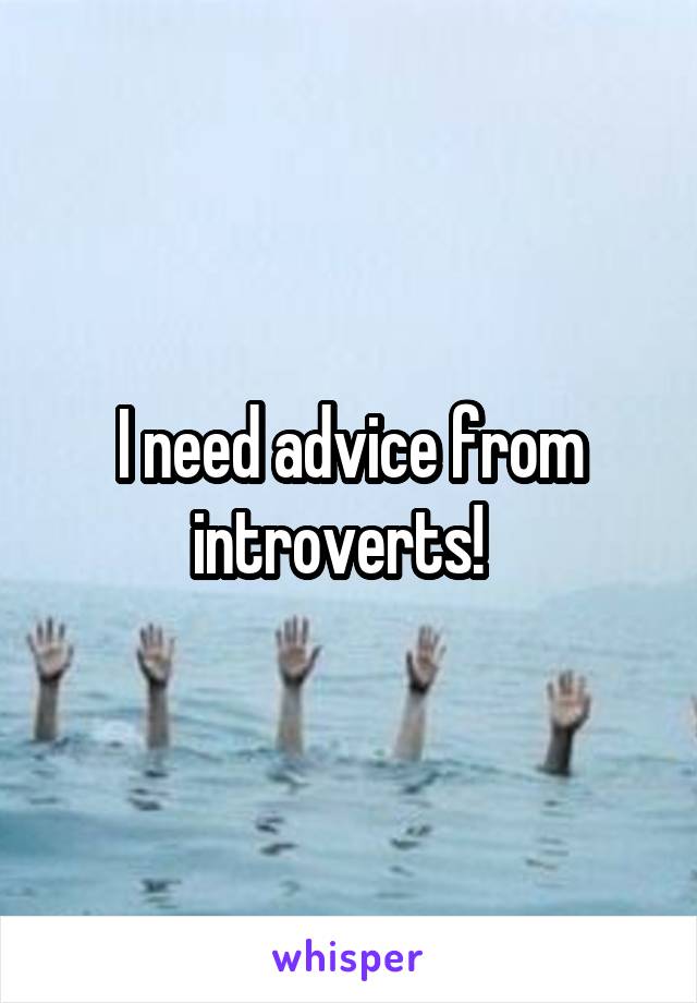 I need advice from introverts!  