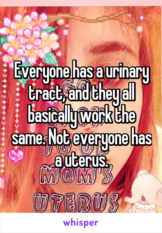 Everyone has a urinary tract, and they all basically work the same. Not everyone has a uterus.