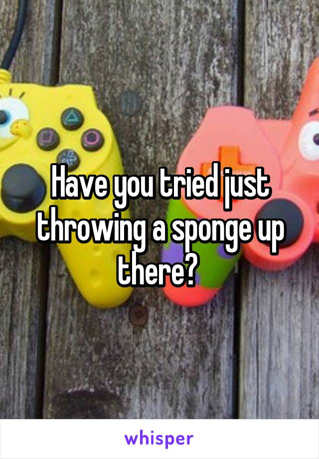 Have you tried just throwing a sponge up there? 