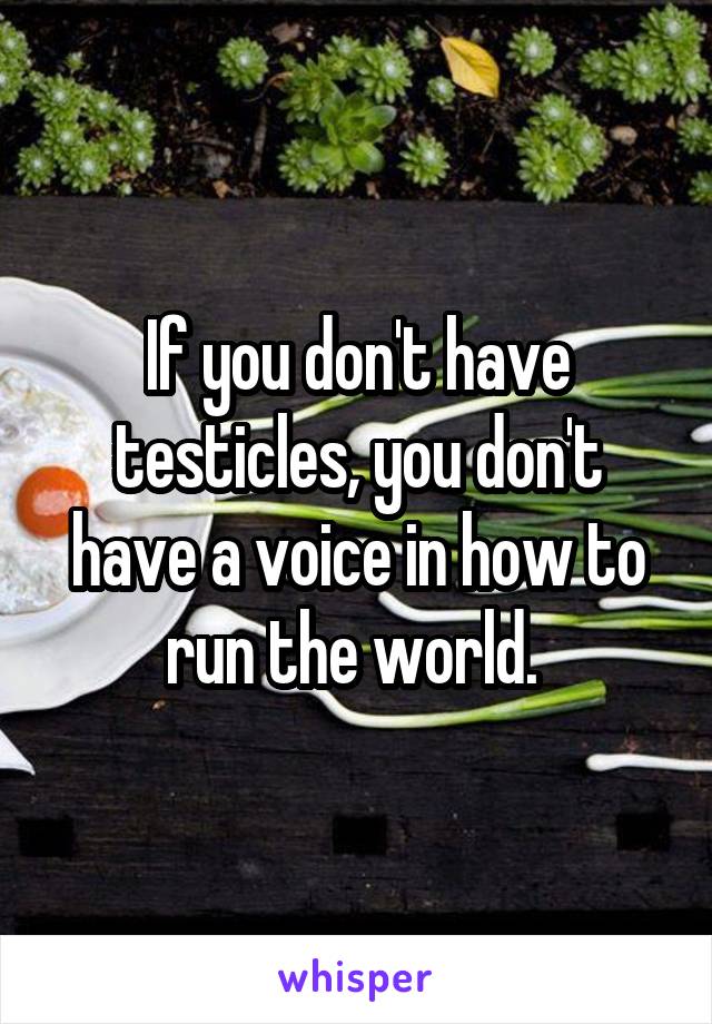 If you don't have testicles, you don't have a voice in how to run the world. 