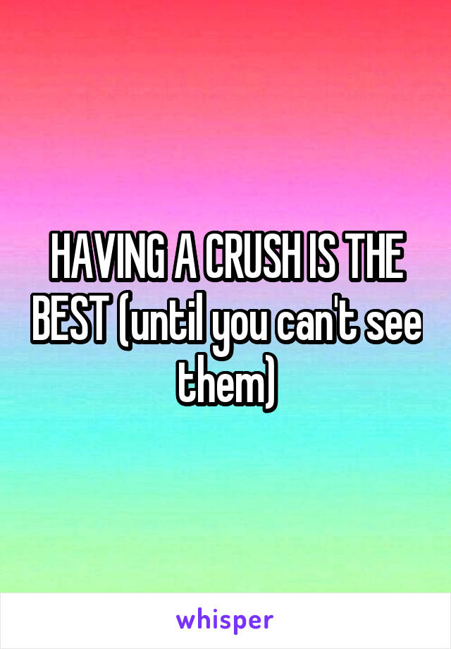 HAVING A CRUSH IS THE BEST (until you can't see them)