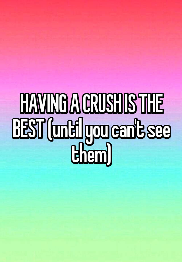 HAVING A CRUSH IS THE BEST (until you can't see them)