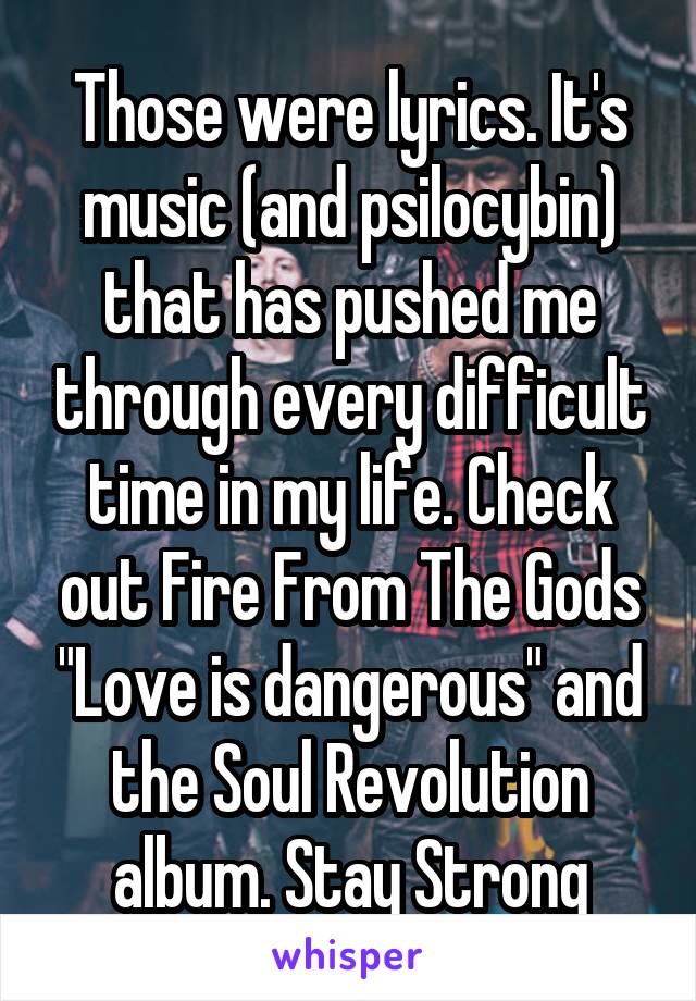 Those were lyrics. It's music (and psilocybin) that has pushed me through every difficult time in my life. Check out Fire From The Gods "Love is dangerous" and the Soul Revolution album. Stay Strong