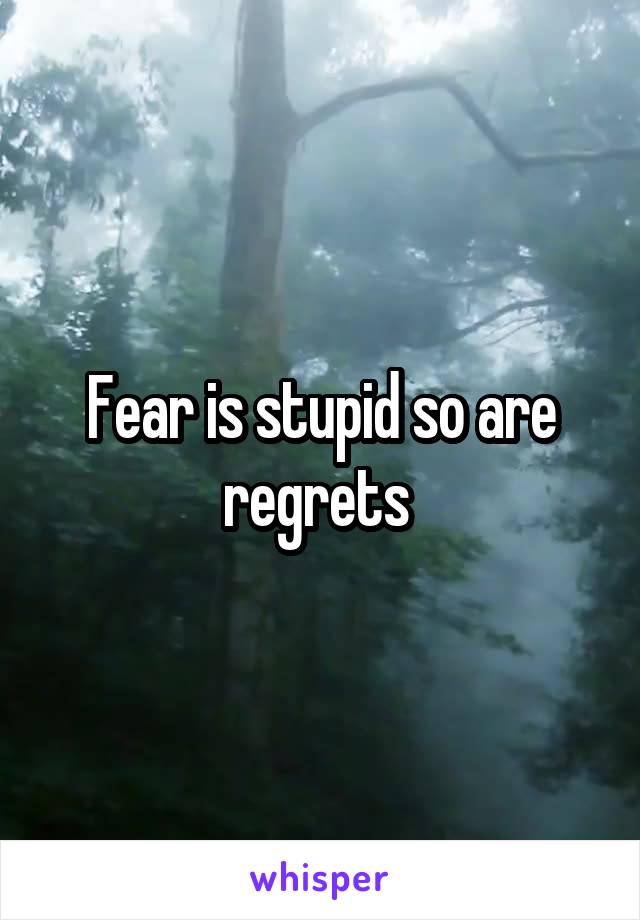 Fear is stupid so are regrets 