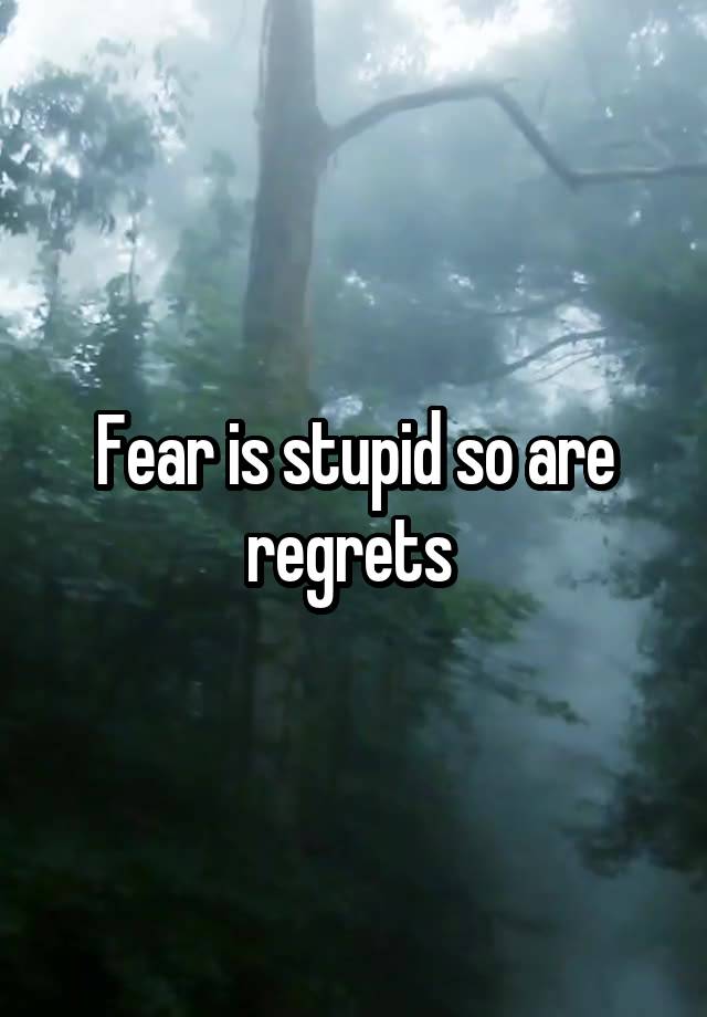 Fear is stupid so are regrets 