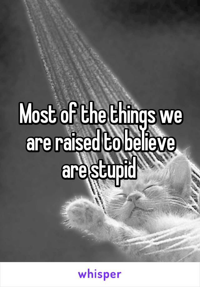 Most of the things we are raised to believe are stupid 