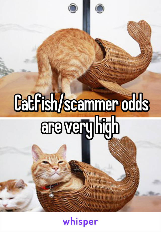 Catfish/scammer odds are very high 