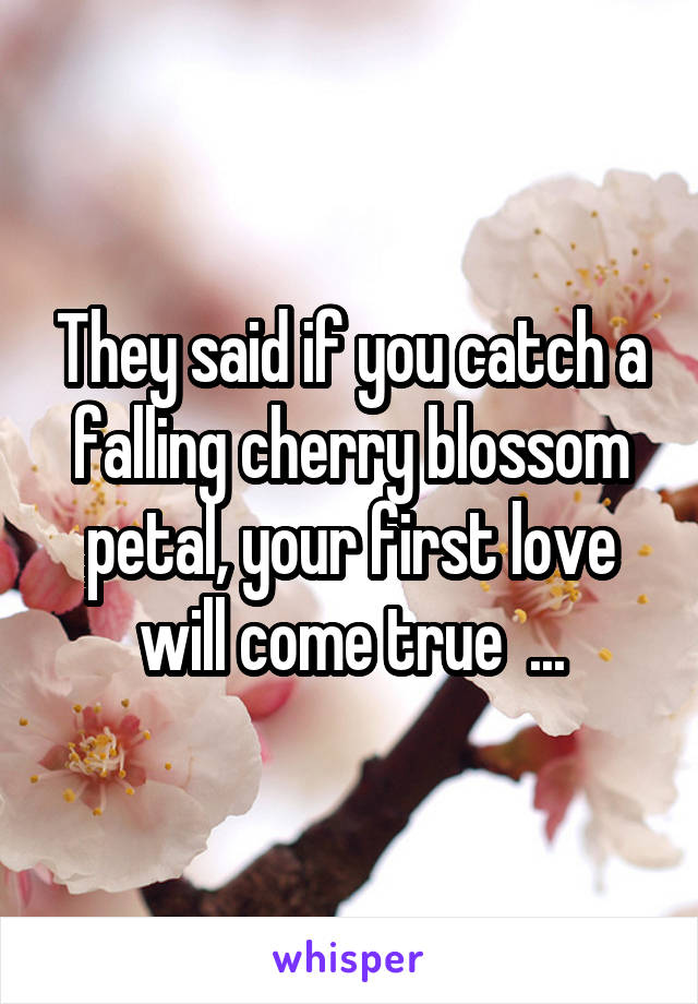 They said if you catch a falling cherry blossom petal, your first love will come true  ...