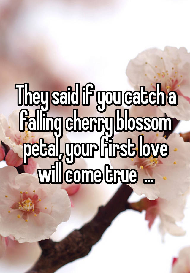 They said if you catch a falling cherry blossom petal, your first love will come true  ...