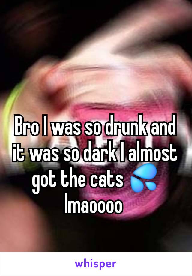 Bro I was so drunk and it was so dark I almost got the cats 💦lmaoooo 