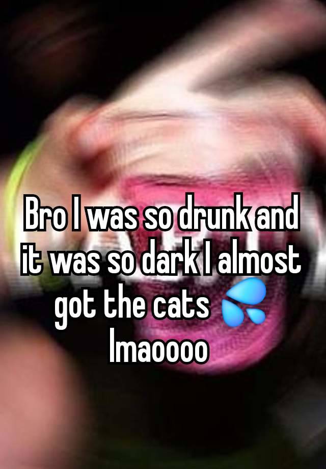 Bro I was so drunk and it was so dark I almost got the cats 💦lmaoooo 