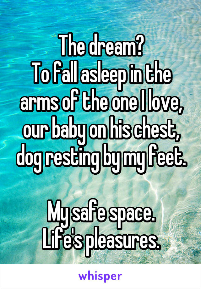 The dream?
To fall asleep in the arms of the one I love, our baby on his chest, dog resting by my feet.

My safe space.
Life's pleasures.