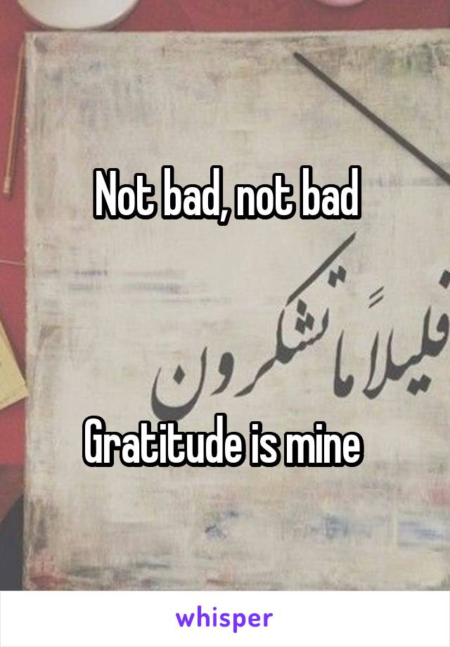 Not bad, not bad



Gratitude is mine 