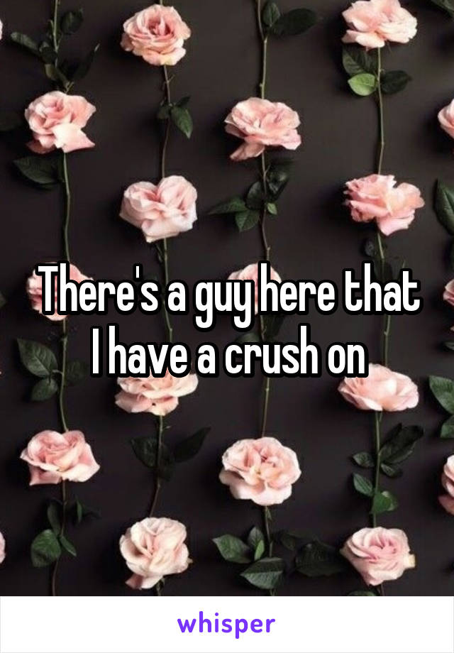 There's a guy here that I have a crush on