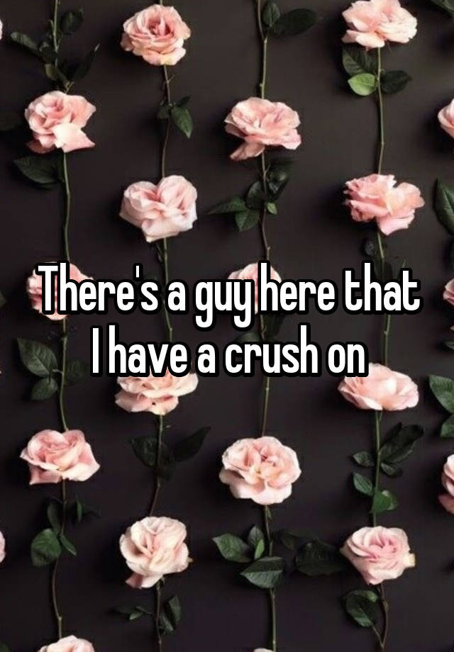 There's a guy here that I have a crush on