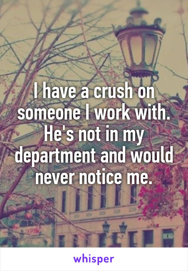 I have a crush on someone I work with. He's not in my department and would never notice me.