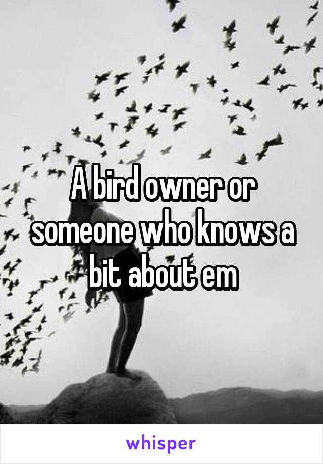 A bird owner or someone who knows a bit about em