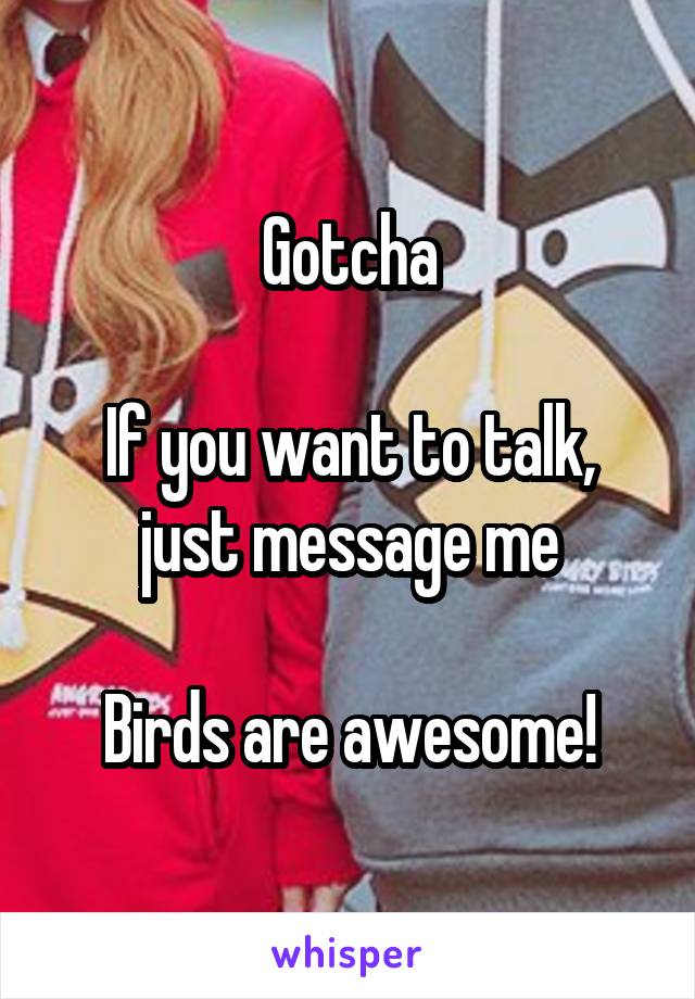 Gotcha

If you want to talk, just message me

Birds are awesome!