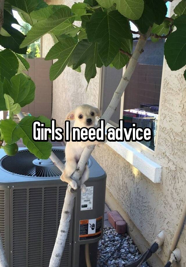 Girls I need advice 