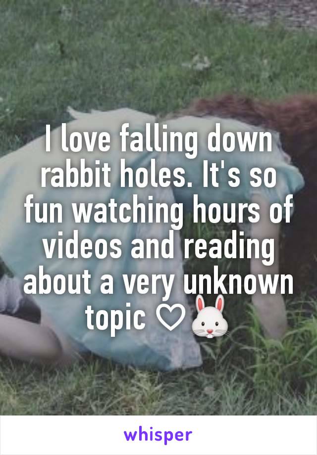 I love falling down rabbit holes. It's so fun watching hours of videos and reading about a very unknown topic ♡🐰