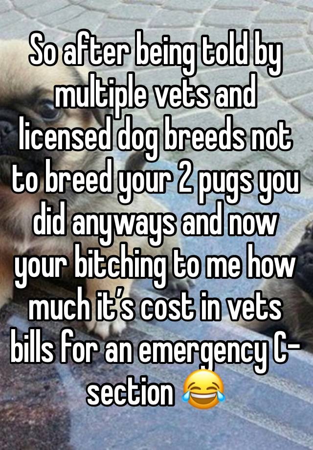 So after being told by multiple vets and licensed dog breeds not to breed your 2 pugs you did anyways and now your bitching to me how much it’s cost in vets bills for an emergency C-section 😂