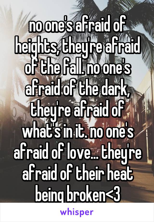 no one's afraid of heights, they're afraid of the fall. no one's afraid of the dark, they're afraid of what's in it. no one's afraid of love... they're afraid of their heat being broken<3