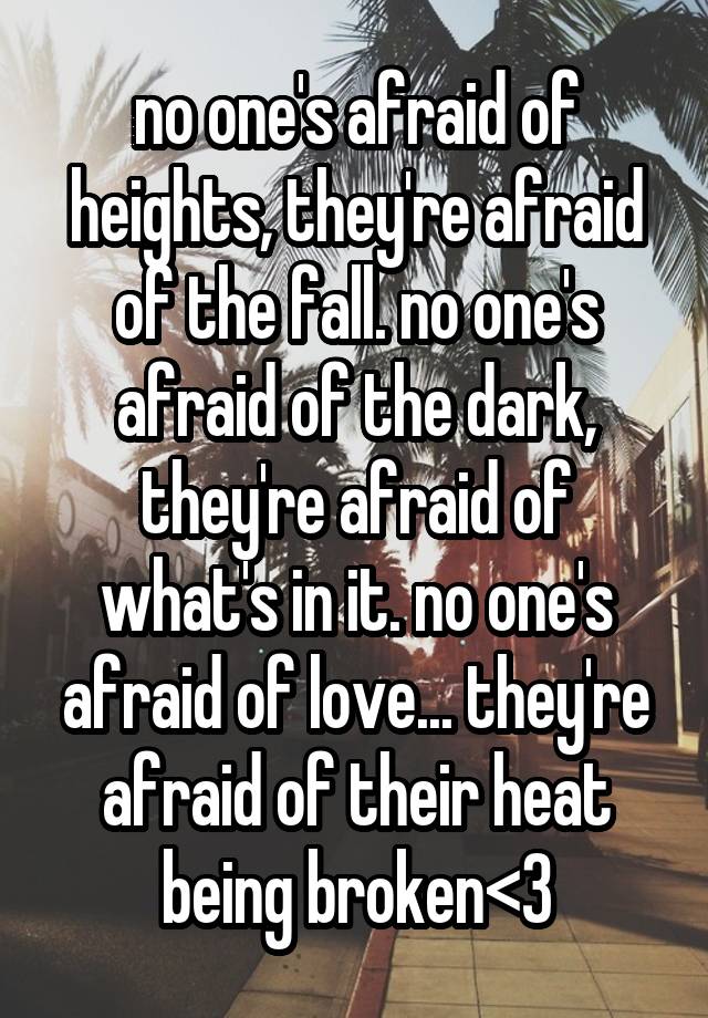 no one's afraid of heights, they're afraid of the fall. no one's afraid of the dark, they're afraid of what's in it. no one's afraid of love... they're afraid of their heat being broken<3