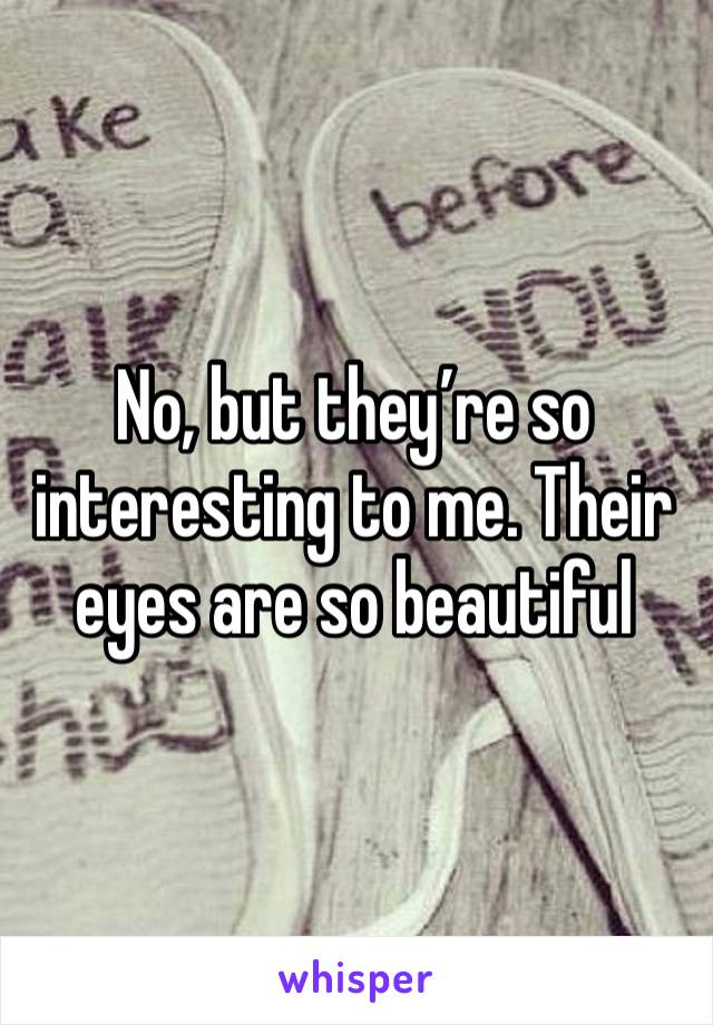 No, but they’re so interesting to me. Their eyes are so beautiful 