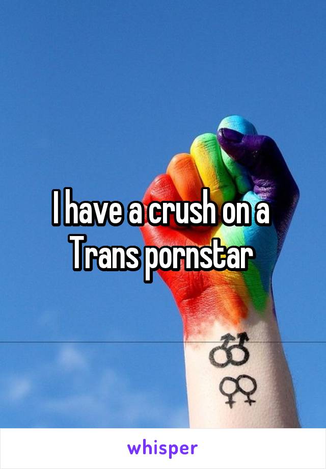 I have a crush on a  Trans pornstar 