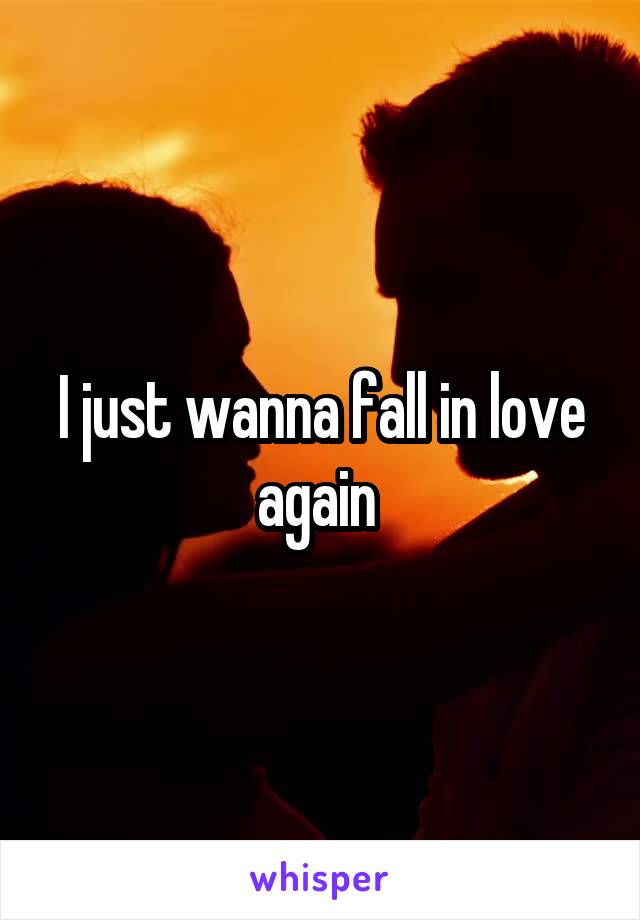 I just wanna fall in love again 