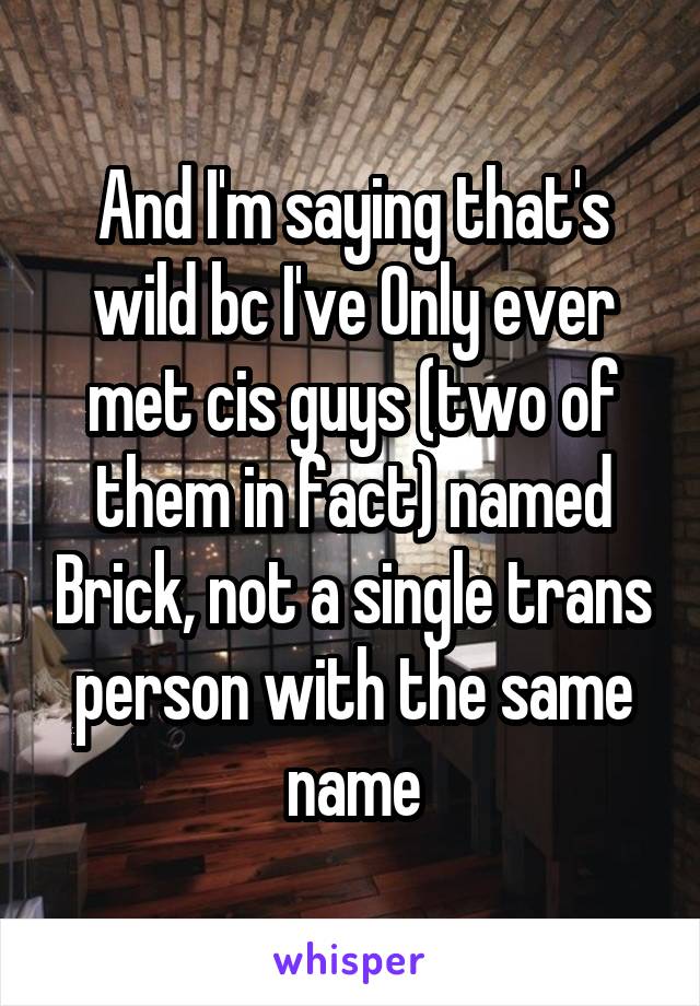 And I'm saying that's wild bc I've Only ever met cis guys (two of them in fact) named Brick, not a single trans person with the same name