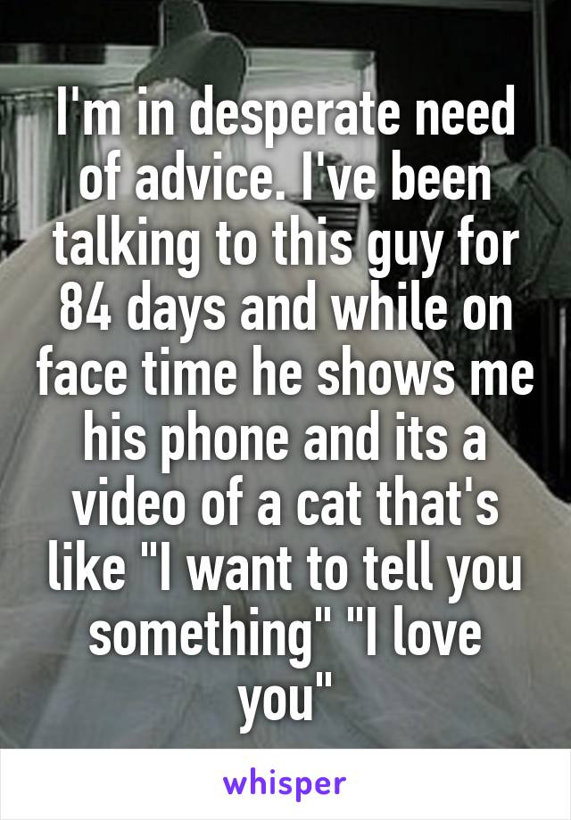 I'm in desperate need of advice. I've been talking to this guy for 84 days and while on face time he shows me his phone and its a video of a cat that's like "I want to tell you something" "I love you"